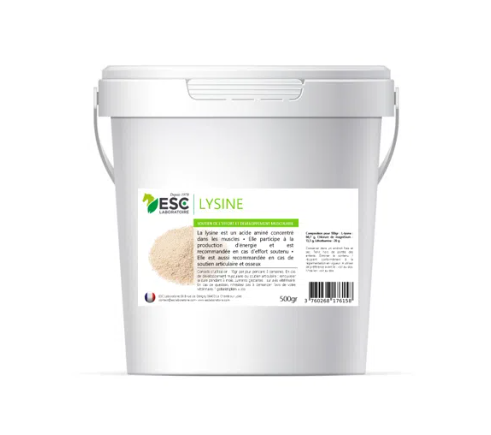 LYSINE + – Soutien de l’effort et développement musculaire cheval
