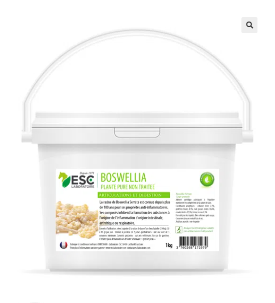BOSWELLIA SERRATA – Plante pure – Sensibilités articulaires et pulmonaires cheval