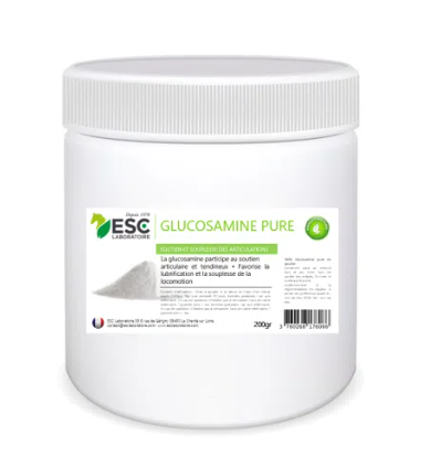 GLUCOSAMINE PURE – Protection du cartilage cheval