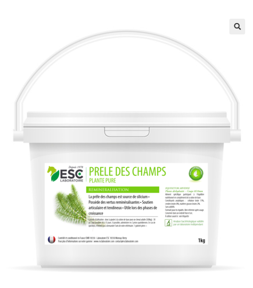 PRELE DES CHAMPS – Articulations et raideurs cheval – Plante pure