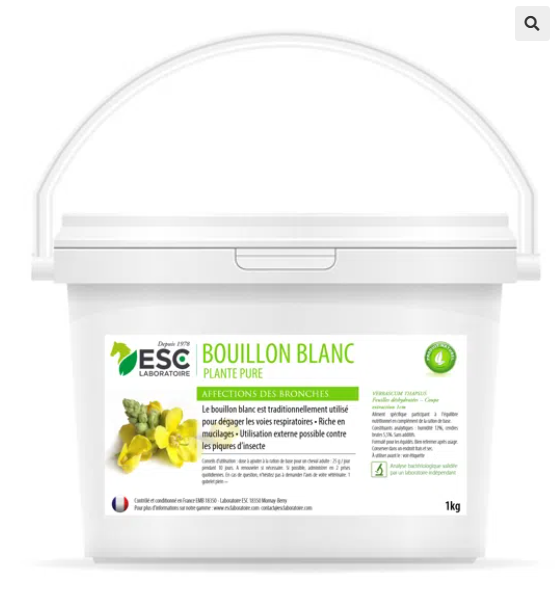 BOUILLON BLANC – Irritation et encombrement des bronches cheval – Plante pure