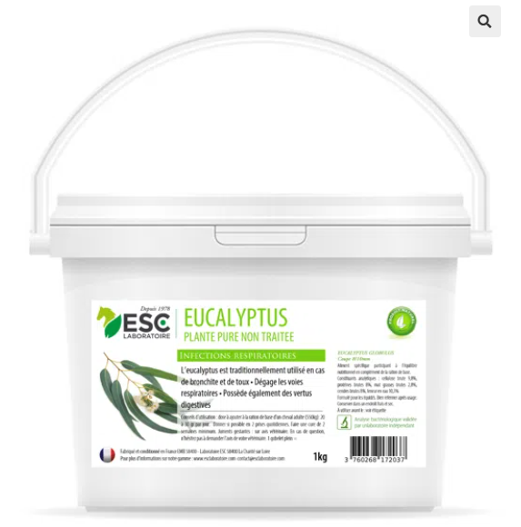 EUCALYPTUS – Respiration cheval – Plante pure