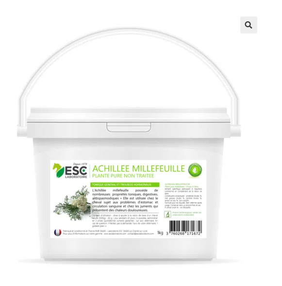 ACHILLEE MILLEFEUILLE – Troubles hormonaux et confort digestif cheval – Plante pure