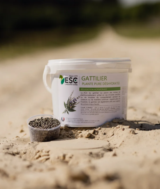 GATTILIER – Ovaires et régulation hormonale juments – Plante pure