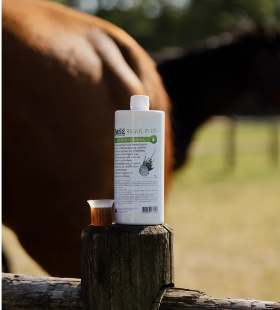 REGUL PLUS – Gattilier Houblon Réglisse- Apaisement ovaires juments
