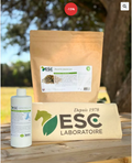 BAG DE JUILLET – Spécial fortes chaleurs