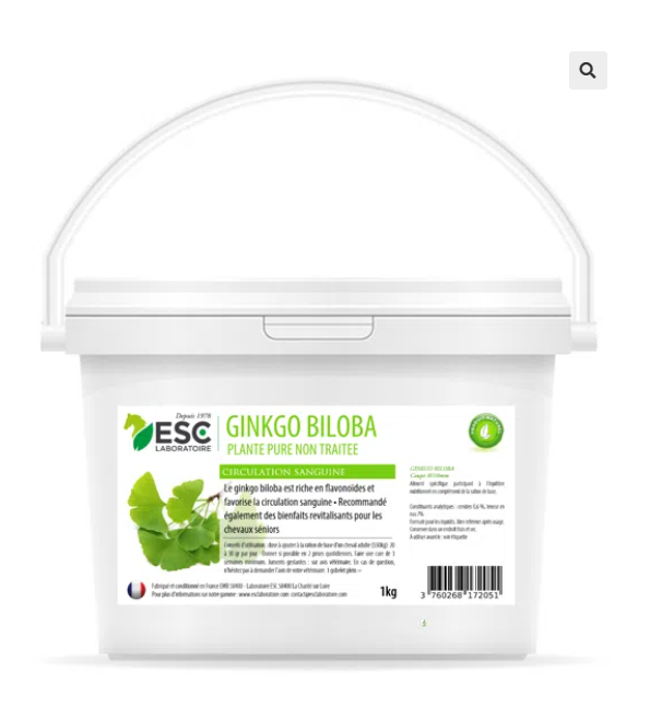 GINKGO BILOBA – Bien-être cheval et circulation sanguine – Plante pure