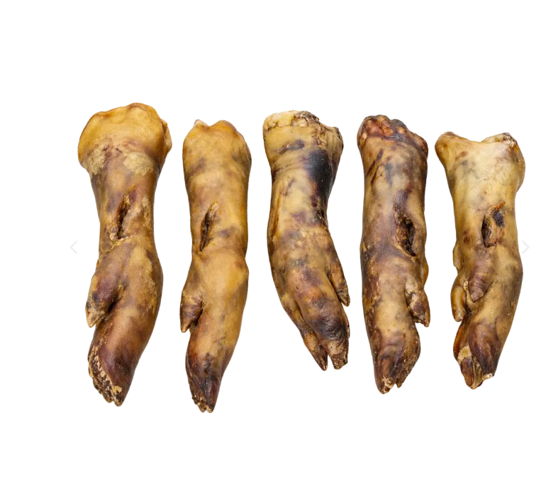 Pied de porc XL