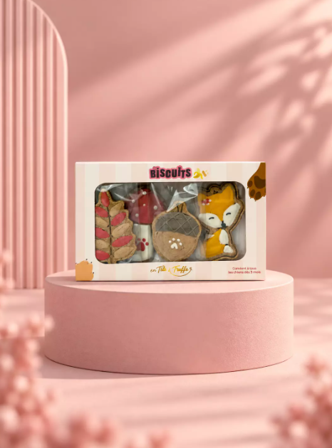 Biscuits d’automne pour chien – 4 biscuits glacés