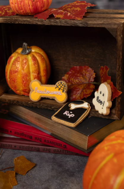 Coffret Halloween pour chien – Pawlloween, 3 biscuits glacés
