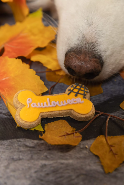 Coffret Halloween pour chien – Pawlloween, 3 biscuits glacés