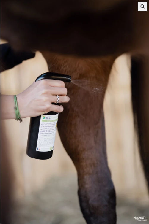 FLY NEUTRAL SPRAY – Confort estival du cheval – Lotion odorante aux 9 huiles essentielles