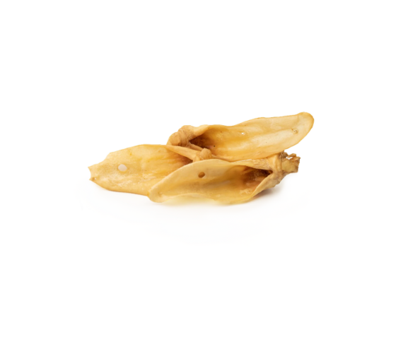 Oreille de chèvre