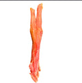 Tendon d achille